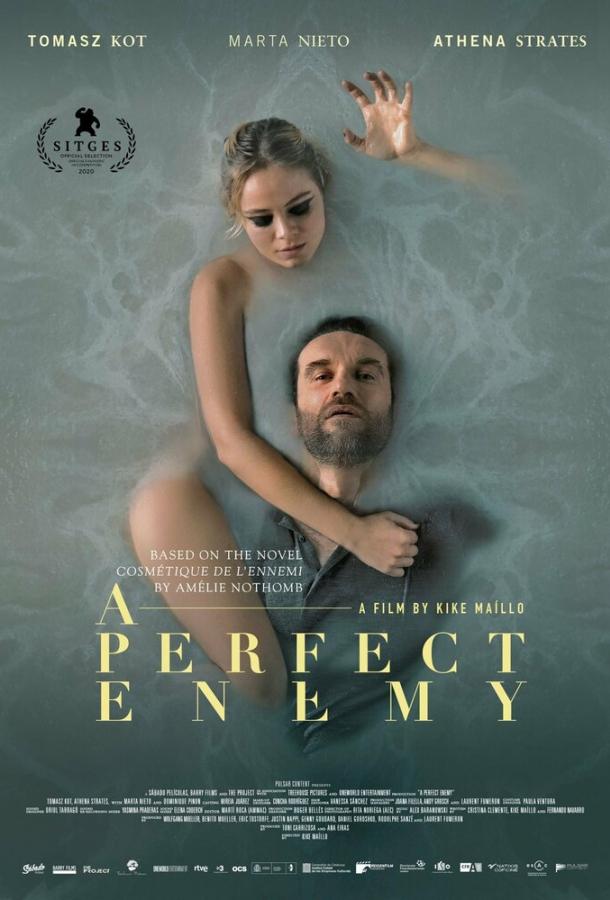 Фильм Идеальный враг (2020) смотреть онлайн